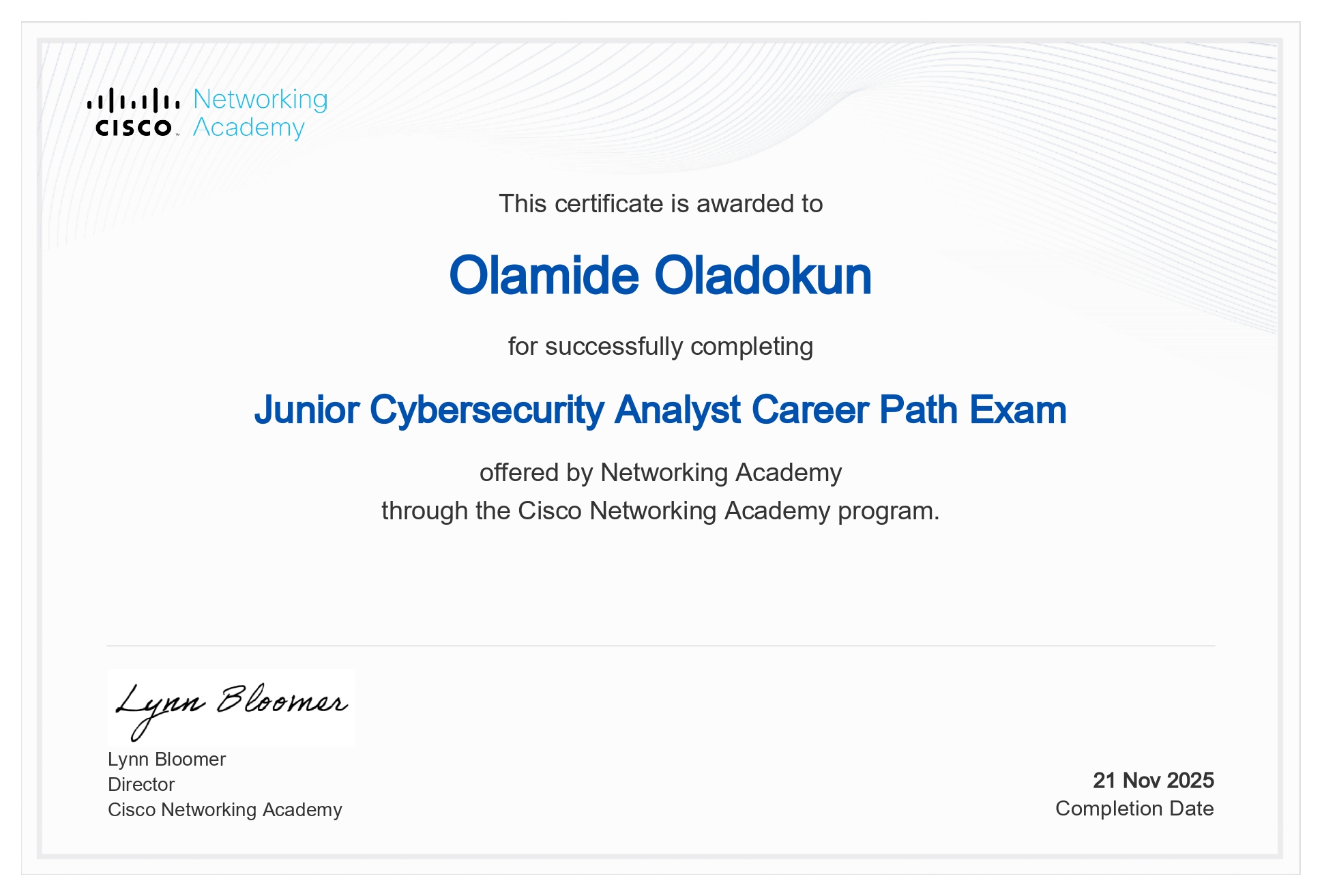 Junior Cybersecurity Analyst
